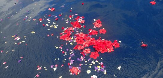 宮古島海洋散骨DARWIN