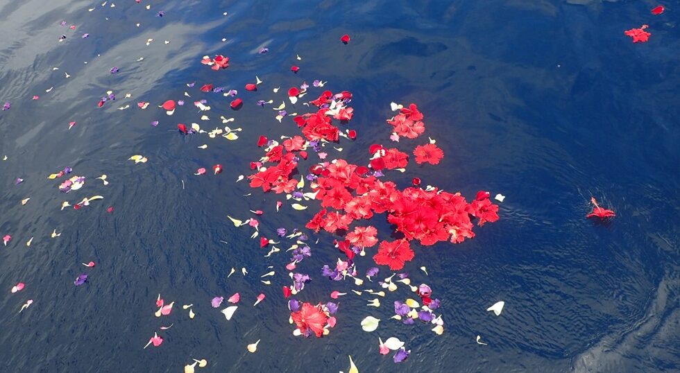 宮古島海洋散骨DARWIN