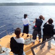 宮古島海洋散骨DARWIN