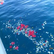 宮古島海洋散骨DARWIN