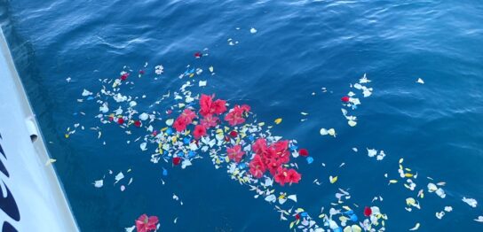 宮古島海洋散骨DARWIN