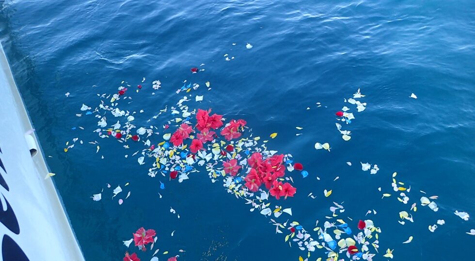 宮古島海洋散骨DARWIN