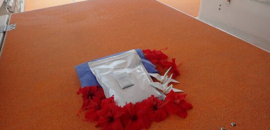 宮古島海洋散骨DARWIN