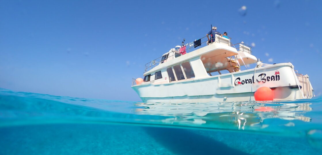 宮古島海洋散骨DARWIN