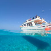 宮古島海洋散骨DARWIN