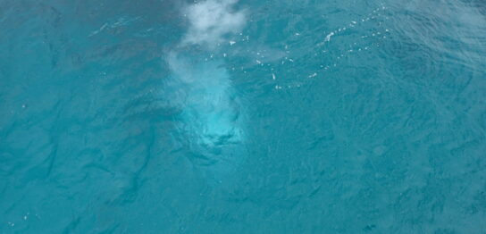 宮古島海洋散骨DARWIN